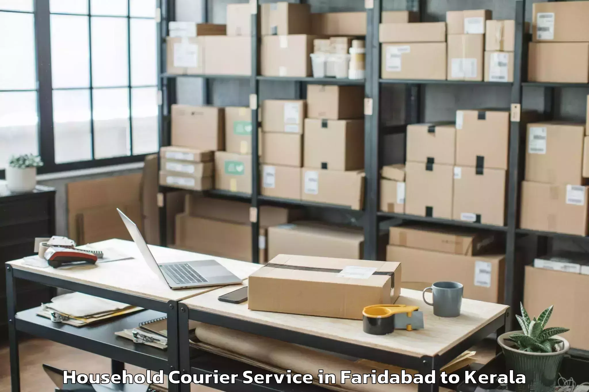 Book Faridabad to Nenmara Household Courier Online